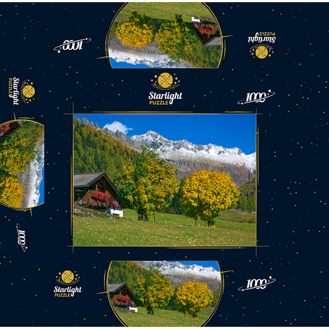 Farmhouse near Kasern, Ahrntal, Trentino-South Tyrol 1000 Jigsaw Puzzle box 3D Modell