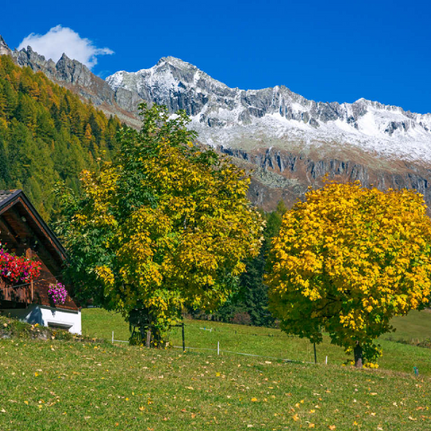 Farmhouse near Kasern, Ahrntal, Trentino-South Tyrol 100 Jigsaw Puzzle 3D Modell