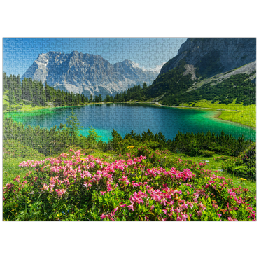 puzzleplate Blooming alpine roses at the Seebensee in the hiking area of the Ehrwalder Alm, Tyrolean Zugspitz Arena 1000 Jigsaw Puzzle