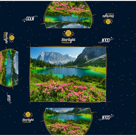 Blooming alpine roses at the Seebensee in the hiking area of the Ehrwalder Alm, Tyrolean Zugspitz Arena 1000 Jigsaw Puzzle box 3D Modell