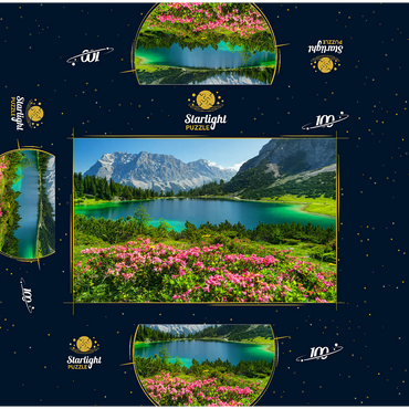 Blooming alpine roses at the Seebensee in the hiking area of the Ehrwalder Alm, Tyrolean Zugspitz Arena 100 Jigsaw Puzzle box 3D Modell