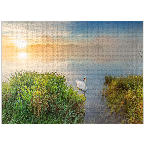 puzzleplate Sunrise with swan at Riegsee near Murnau 1000 Jigsaw Puzzle