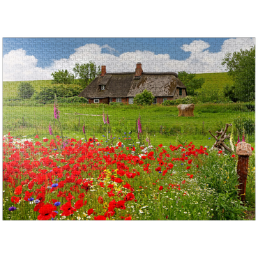 puzzleplate Summer meadow with poppies and farm cottage near Westerhever 1000 Jigsaw Puzzle