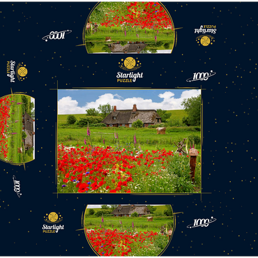 Summer meadow with poppies and farm cottage near Westerhever 1000 Jigsaw Puzzle box 3D Modell