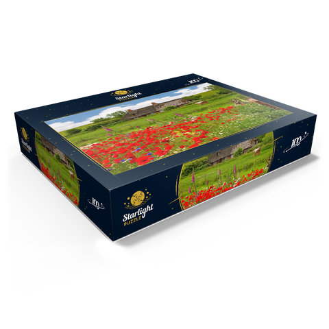 Summer meadow with poppies and farm cottage near Westerhever 100 Jigsaw Puzzle box view1