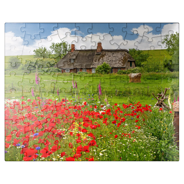 puzzleplate Summer meadow with poppies and farm cottage near Westerhever 100 Jigsaw Puzzle