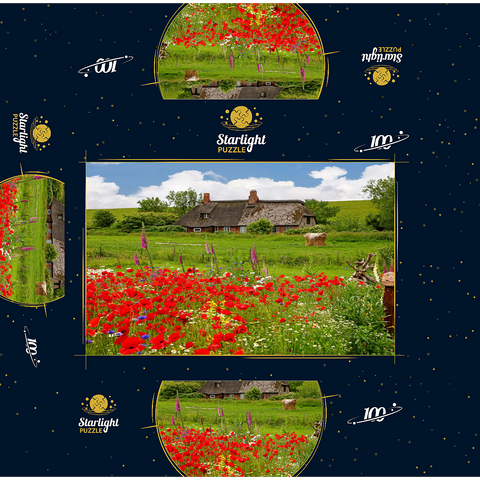 Summer meadow with poppies and farm cottage near Westerhever 100 Jigsaw Puzzle box 3D Modell