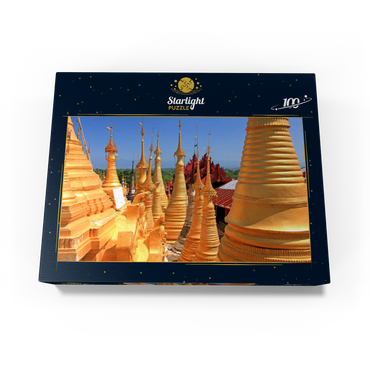 Pagoda forest of stupas of Shwe Indein pagoda near Indein village on Inle Lake, Shan State, Myanmar 100 Jigsaw Puzzle box view1