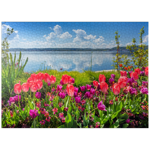 puzzleplate Lake promenade in Überlingen on Lake Constance in springtime for tulips blossom 1000 Jigsaw Puzzle