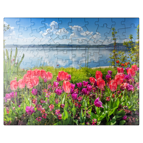 puzzleplate Lake promenade in Überlingen on Lake Constance in springtime for tulips blossom 100 Jigsaw Puzzle