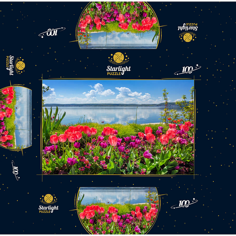 Lake promenade in Überlingen on Lake Constance in springtime for tulips blossom 100 Jigsaw Puzzle box 3D Modell