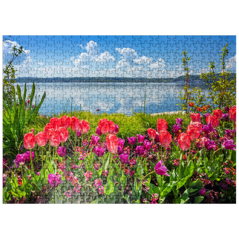 puzzleplate Lake promenade in Überlingen on Lake Constance in springtime for tulips blossom 500 Jigsaw Puzzle