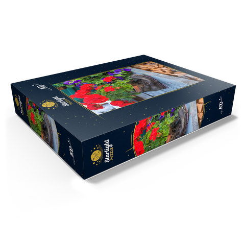Old hiking boot with geraniums in Oberstdorf 100 Jigsaw Puzzle box view1