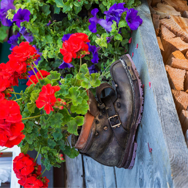 Old hiking boot with geraniums in Oberstdorf 100 Jigsaw Puzzle 3D Modell