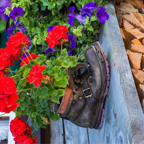 Old hiking boot with geraniums in Oberstdorf 100 Jigsaw Puzzle 3D Modell