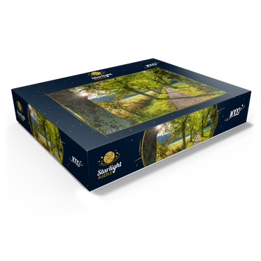 Avenue of lime trees at Höhenrieder Weg 1000 Jigsaw Puzzle box view1