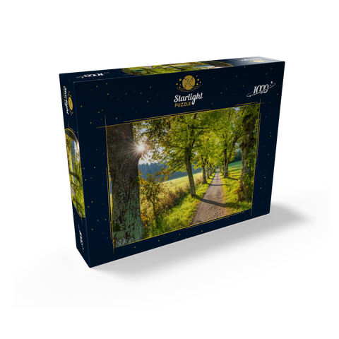 Avenue of lime trees at Höhenrieder Weg 1000 Jigsaw Puzzle box view1