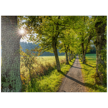 puzzleplate Avenue of lime trees at Höhenrieder Weg 1000 Jigsaw Puzzle