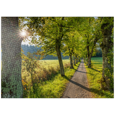 puzzleplate Avenue of lime trees at Höhenrieder Weg 1000 Jigsaw Puzzle