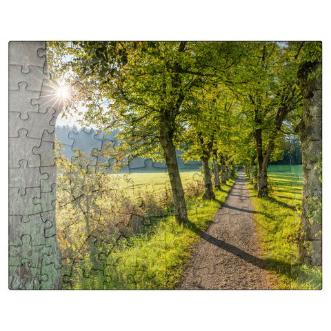 puzzleplate Avenue of lime trees at Höhenrieder Weg 100 Jigsaw Puzzle