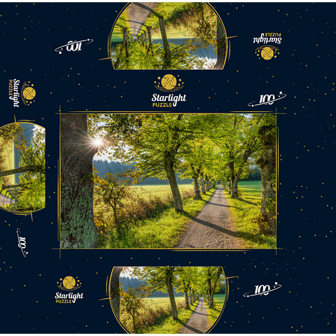 Avenue of lime trees at Höhenrieder Weg 100 Jigsaw Puzzle box 3D Modell