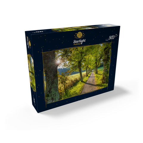 Avenue of lime trees at Höhenrieder Weg 500 Jigsaw Puzzle box view1