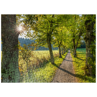 puzzleplate Avenue of lime trees at Höhenrieder Weg 500 Jigsaw Puzzle