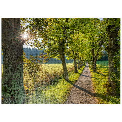 puzzleplate Avenue of lime trees at Höhenrieder Weg 500 Jigsaw Puzzle