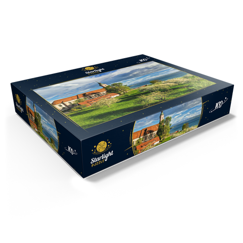 Pilgrimage church Birnau near Unteruhldingen at Lake Constance 100 Jigsaw Puzzle box view1