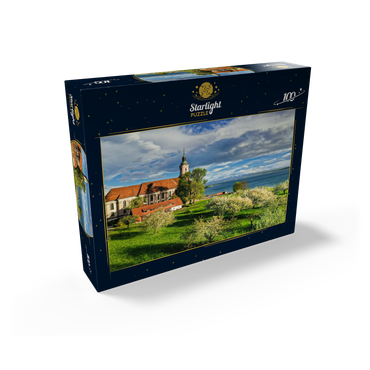 Pilgrimage church Birnau near Unteruhldingen at Lake Constance 100 Jigsaw Puzzle box view1