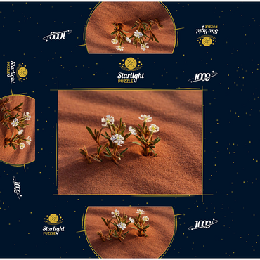 The desert blooms, flowers in the sand, Wadi Rum, Aqaba Governorate, Jordan 1000 Jigsaw Puzzle box 3D Modell