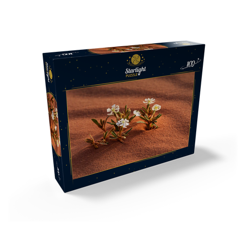 The desert blooms, flowers in the sand, Wadi Rum, Aqaba Governorate, Jordan 100 Jigsaw Puzzle box view1