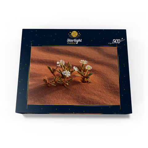 The desert blooms, flowers in the sand, Wadi Rum, Aqaba Governorate, Jordan 500 Jigsaw Puzzle box view1