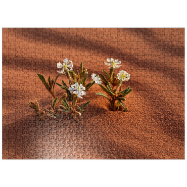 puzzleplate The desert blooms, flowers in the sand, Wadi Rum, Aqaba Governorate, Jordan 500 Jigsaw Puzzle