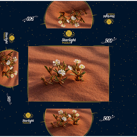 The desert blooms, flowers in the sand, Wadi Rum, Aqaba Governorate, Jordan 500 Jigsaw Puzzle box 3D Modell