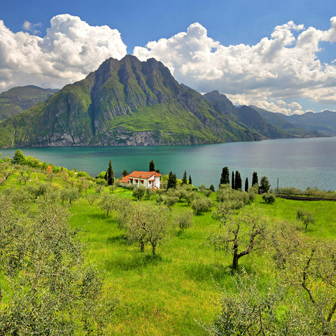 View of the lake near Riva di Solto, Lake Iseo, Lombardy, Italy 1000 Jigsaw Puzzle 3D Modell