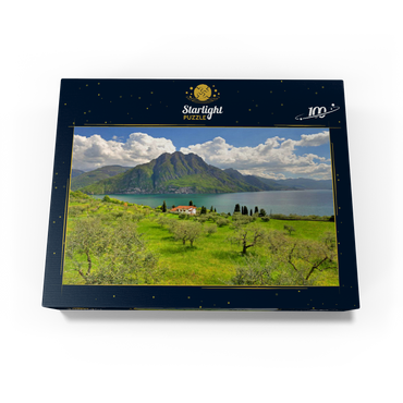 View of the lake near Riva di Solto, Lake Iseo, Lombardy, Italy 100 Jigsaw Puzzle box view1