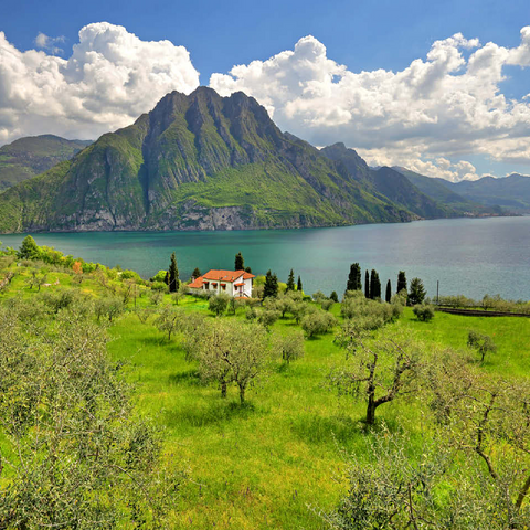 View of the lake near Riva di Solto, Lake Iseo, Lombardy, Italy 100 Jigsaw Puzzle 3D Modell