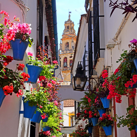 Calleja de las Flores in the old town Juderia, Andalusia, Spain 1000 Jigsaw Puzzle 3D Modell