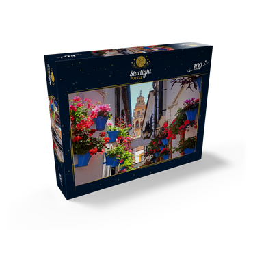Calleja de las Flores in the old town Juderia, Andalusia, Spain 100 Jigsaw Puzzle box view1
