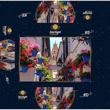 Calleja de las Flores in the old town Juderia, Andalusia, Spain 100 Jigsaw Puzzle box 3D Modell