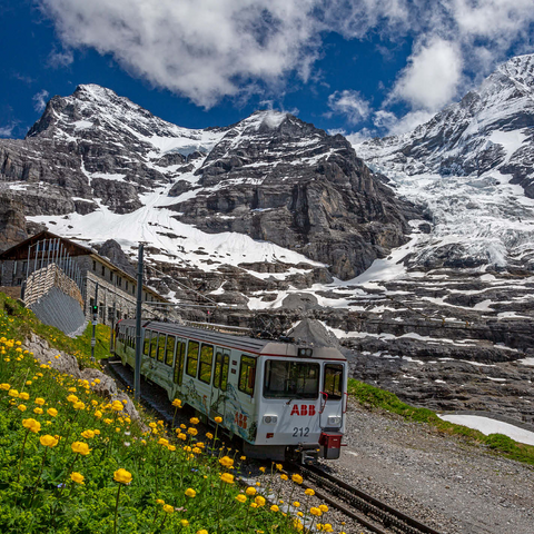 Jungfrau Railway at the station Eiger Glacier (2320m) against Eiger (3970m) and Mönch (4107m) 1000 Jigsaw Puzzle 3D Modell