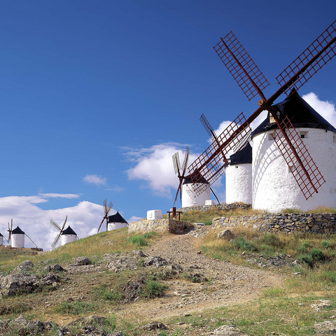Windmills in Consuegra, Ciudad Real, Spain 1000 Jigsaw Puzzle 3D Modell