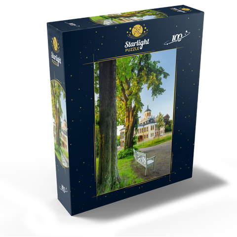 Belvedere Palace with the palace park 100 Jigsaw Puzzle box view1