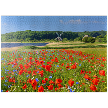 puzzleplate Poppy field with view to windmill Charlotte in Geltinger Birk, Geltinger Bay 1000 Jigsaw Puzzle