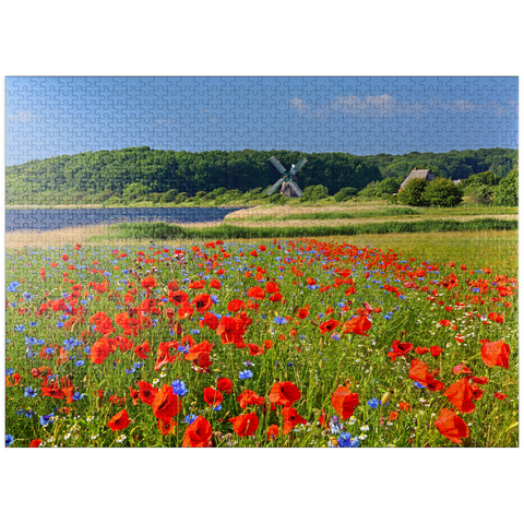 puzzleplate Poppy field with view to windmill Charlotte in Geltinger Birk, Geltinger Bay 1000 Jigsaw Puzzle