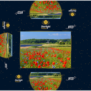Poppy field with view to windmill Charlotte in Geltinger Birk, Geltinger Bay 1000 Jigsaw Puzzle box 3D Modell