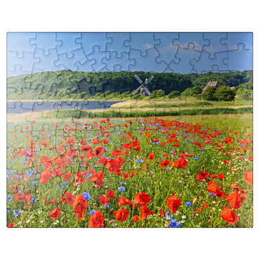 puzzleplate Poppy field with view to windmill Charlotte in Geltinger Birk, Geltinger Bay 100 Jigsaw Puzzle