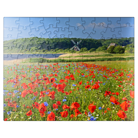 puzzleplate Poppy field with view to windmill Charlotte in Geltinger Birk, Geltinger Bay 100 Jigsaw Puzzle