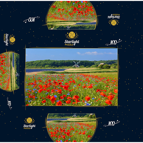 Poppy field with view to windmill Charlotte in Geltinger Birk, Geltinger Bay 100 Jigsaw Puzzle box 3D Modell